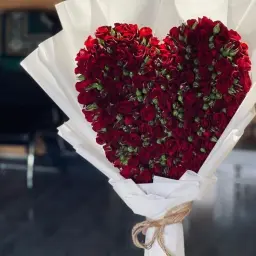 قلب